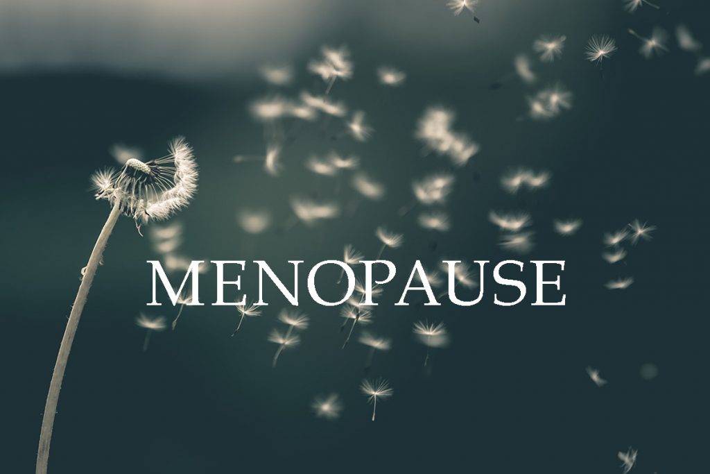 dandelion seeds in the wind with word menopause